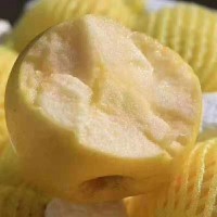 煙臺(tái)奶油富士蘋(píng)果 新鮮水果奶油富士 糖心蘋(píng)果非黃金帥一件代發(fā)