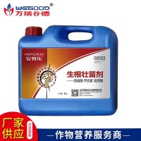 廠家批發(fā) 植物生長調(diào)節(jié)劑 ?；ūＥ蚬财諛飞鶋衙鐒?現(xiàn)貨批發(fā)