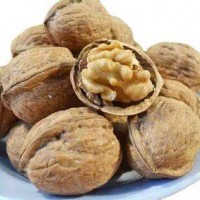 新貨上市，常年供應核桃，質(zhì)量保證 價格優(yōu)惠