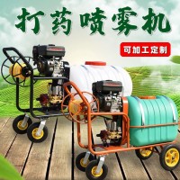批發(fā)汽油打藥噴霧機(jī) 手推養(yǎng)殖場(chǎng)消毒噴藥機(jī)小型園林高壓噴藥車