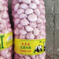 大蒜公司，源頭工廠供應(yīng)金鄉(xiāng)出口大蒜，超市大蒜